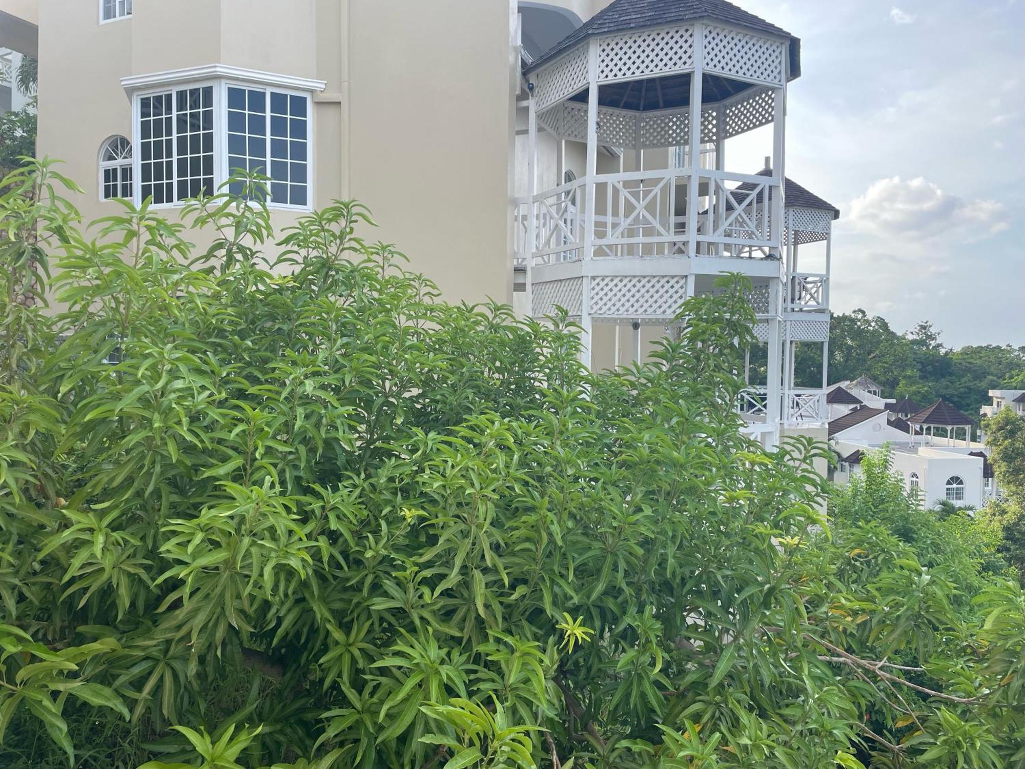 Oceanbreeze Jamaica Penthouse, 7-Minute Walk To Beach Ocho Rios Luaran gambar