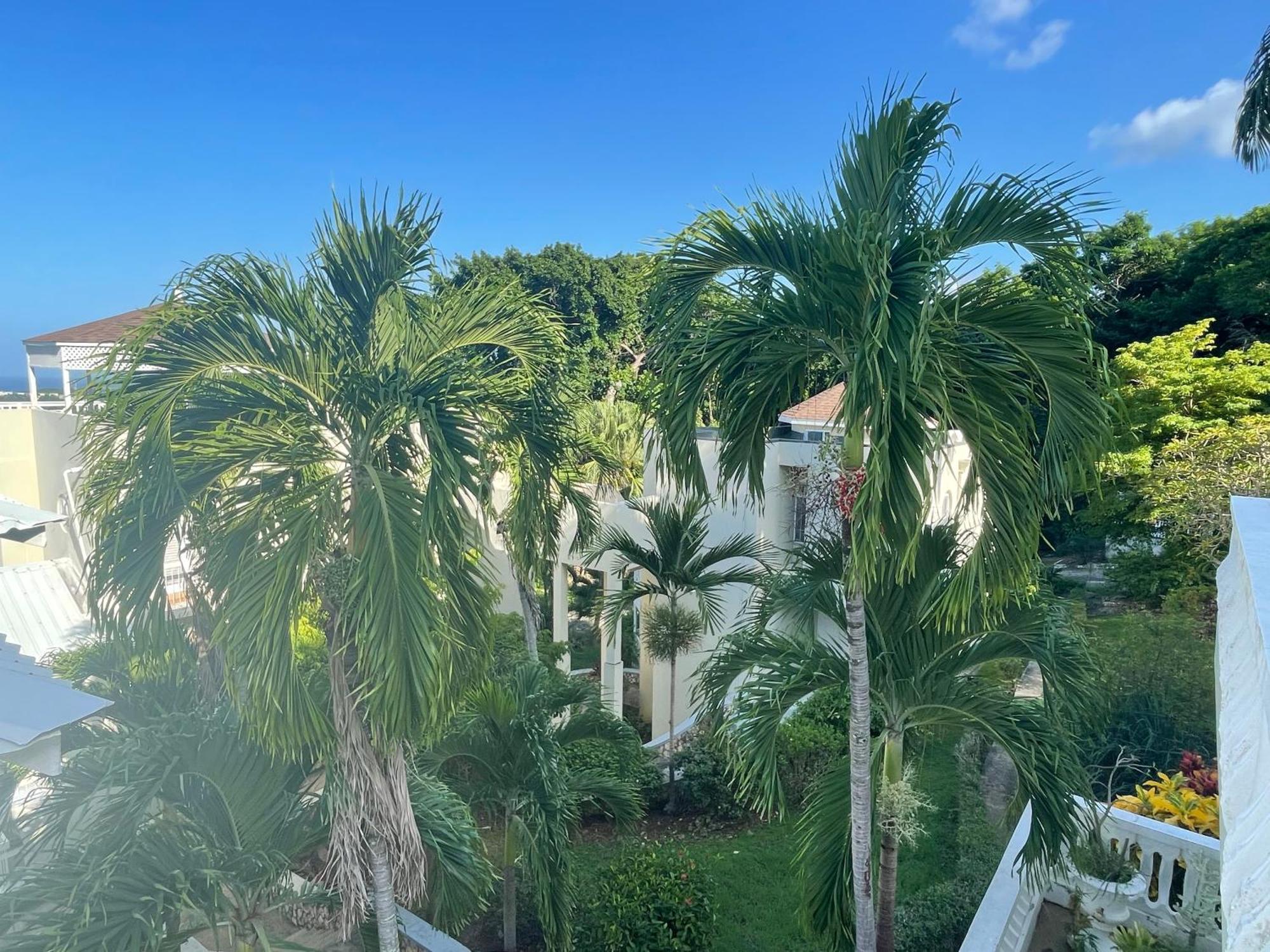 Oceanbreeze Jamaica Penthouse, 7-Minute Walk To Beach Ocho Rios Luaran gambar