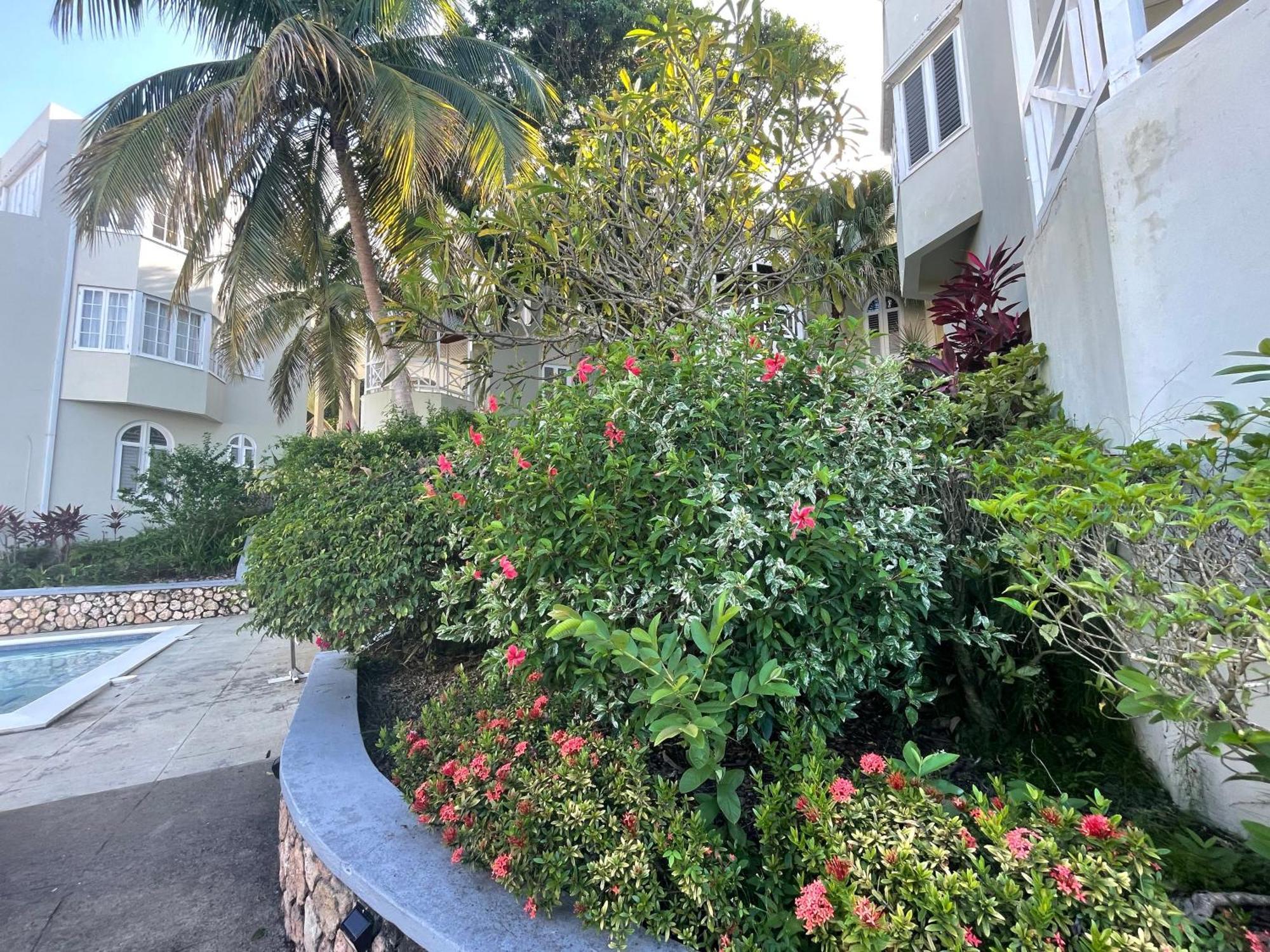 Oceanbreeze Jamaica Penthouse, 7-Minute Walk To Beach Ocho Rios Luaran gambar